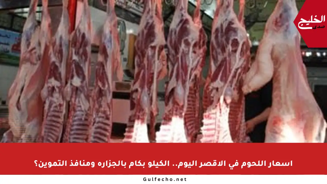 أسعار اللحوم في الأقصر اليوم.. الكيلو بكام بالجزارة ومنافذ التموين؟